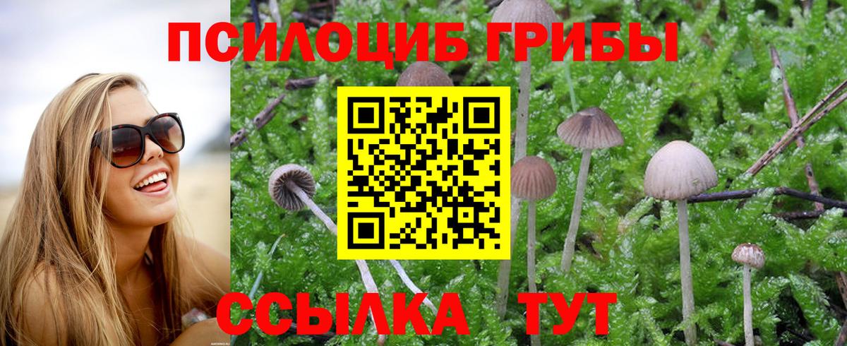 Псилоцибиновые грибы MAGIC MUSHROOMS Белебей