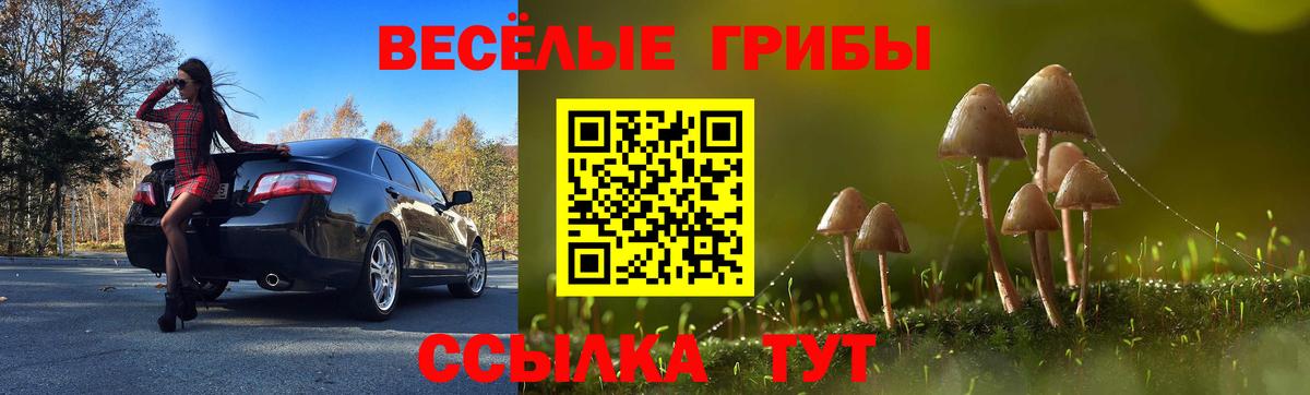 Белебей  Псилоцибиновые грибы MAGIC MUSHROOMS  Вход с VPN  Псилоцибиновые грибы Magic Shrooms 